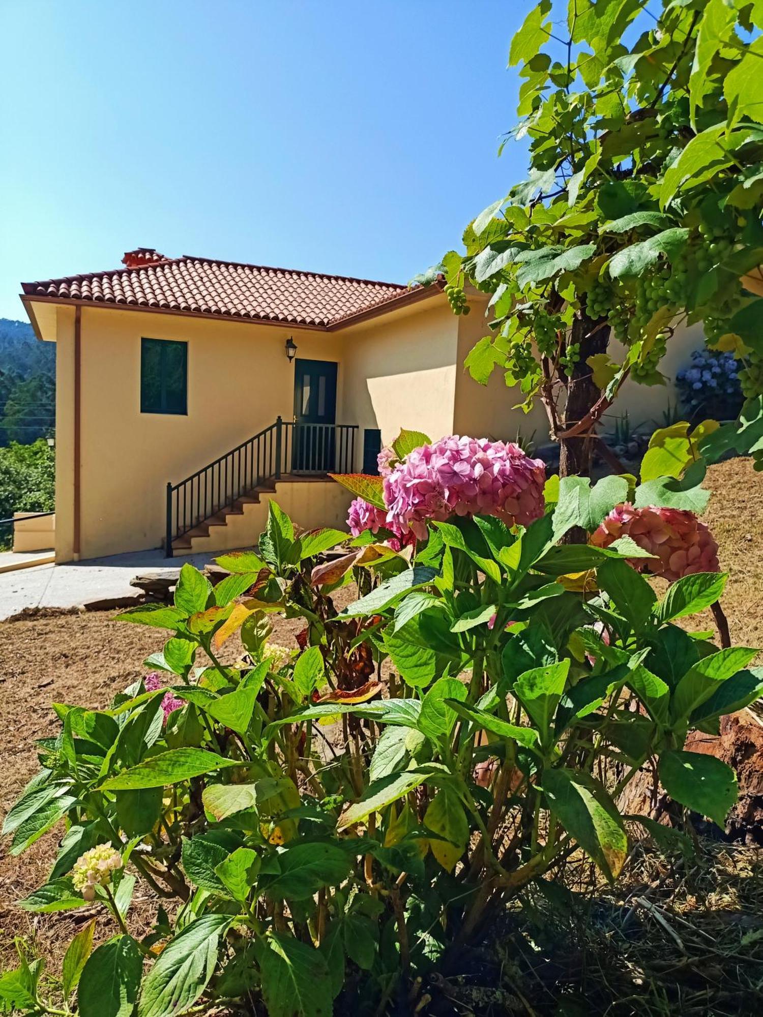 A Casa Do Porto Cerca De Cedeira Y De La Playa De Pantin Villa Valdovino Exterior photo